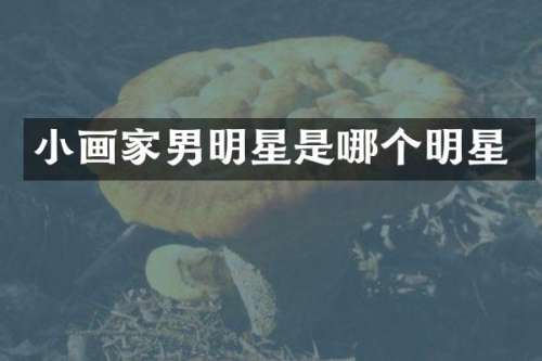 小画家男明星是哪个明星