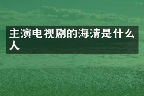 主演电视剧的海清是什么人