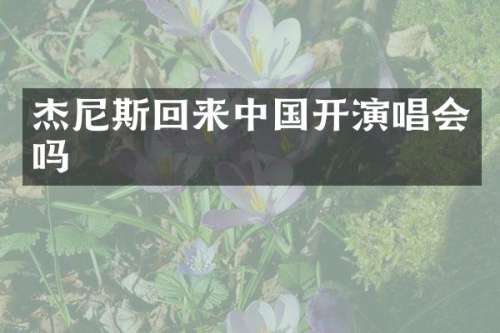 杰尼斯回来中国开演唱会吗