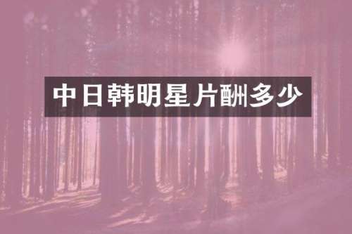 中日韩明星片酬多少