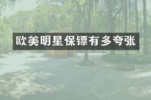 欧美明星保镖有多夸张