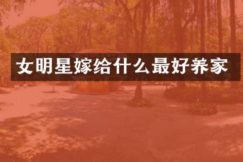 女明星嫁给什么最好养家