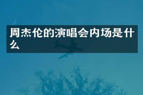周杰伦的演唱会内场是什么