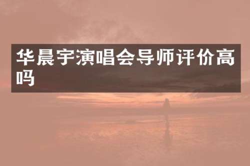 华晨宇演唱会导师评价高吗