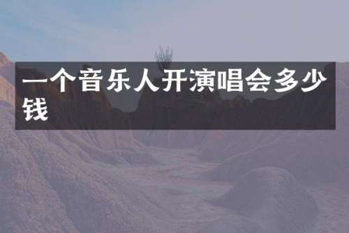 一个音乐人开演唱会多少钱