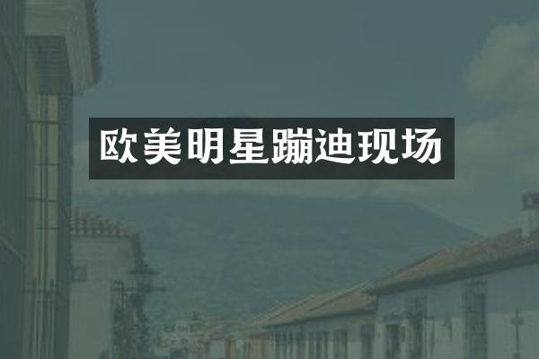 欧美明星蹦迪现场