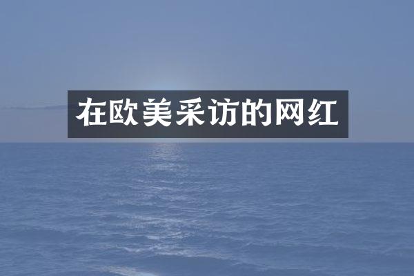 在欧美采访的网红