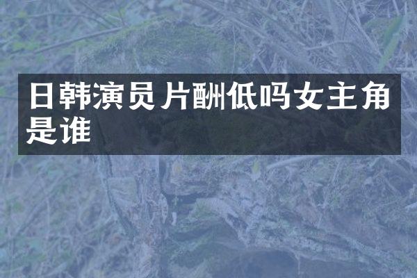 日韩演员片酬低吗女主角是谁