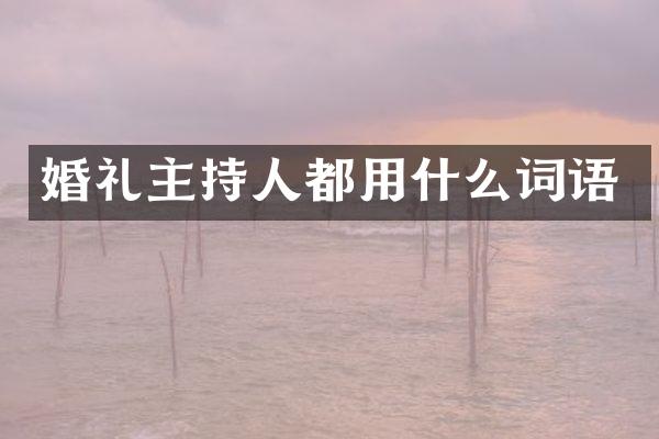 婚礼主持人都用什么词语