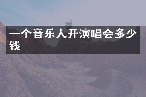 一个音乐人开演唱会多少钱