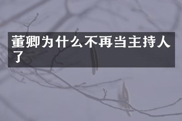 董卿为什么不再当主持人了