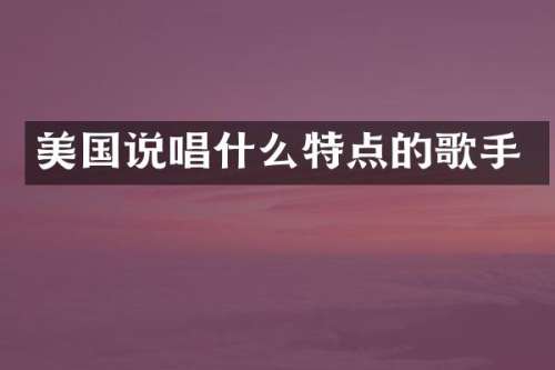 美国说唱什么特点的歌手