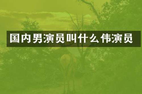 国内男演员叫什么伟演员
