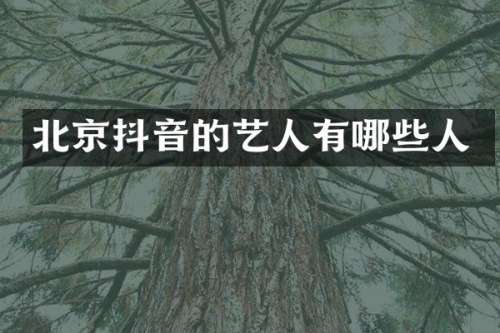 北京抖音的艺人有哪些人