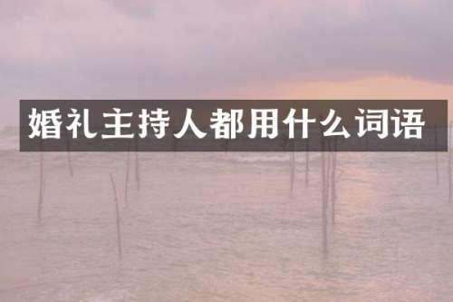 婚礼主持人都用什么词语