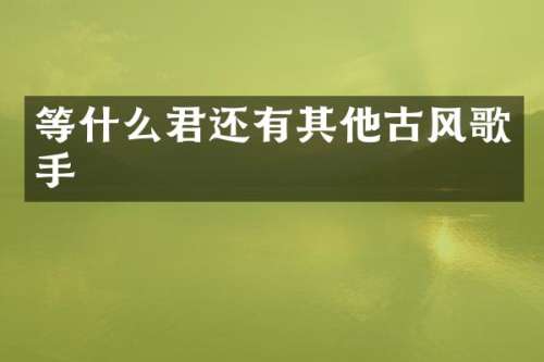 等什么君还有其他古风歌手
