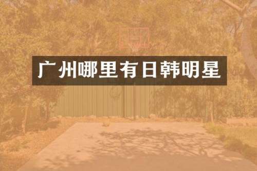广州哪里有日韩明星