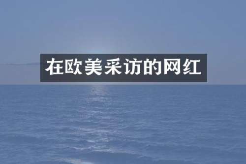 在欧美采访的网红