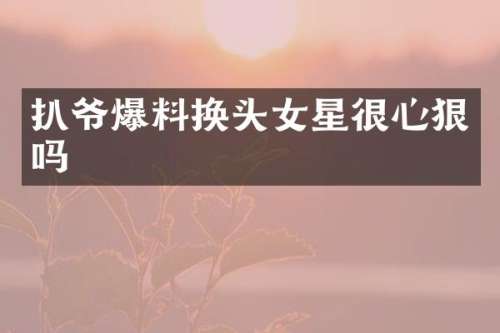 扒爷爆料换头女星很心狠吗