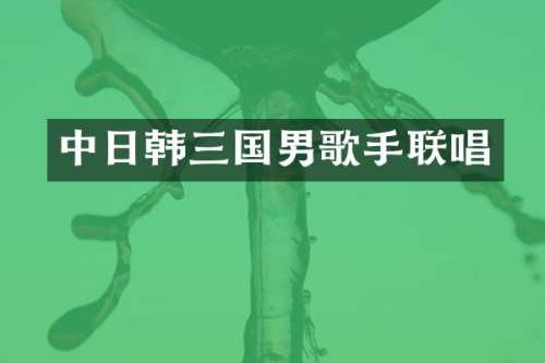 中日韩三国男歌手联唱