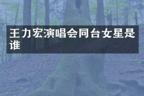 王力宏演唱会同台女星是谁