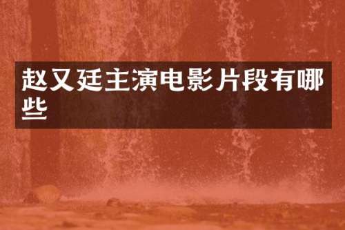 赵又廷主演电影片段有哪些