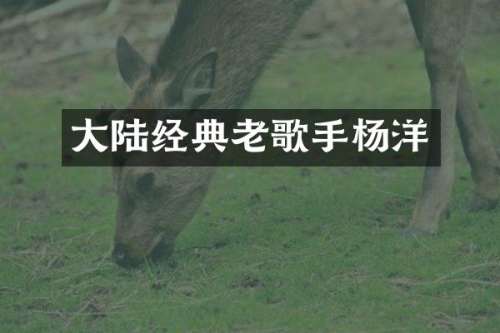大陆经典老歌手杨洋