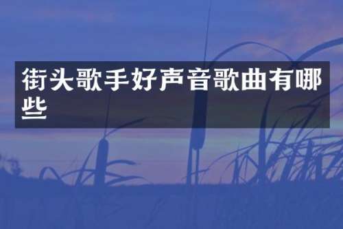 街头歌手好声音歌曲有哪些