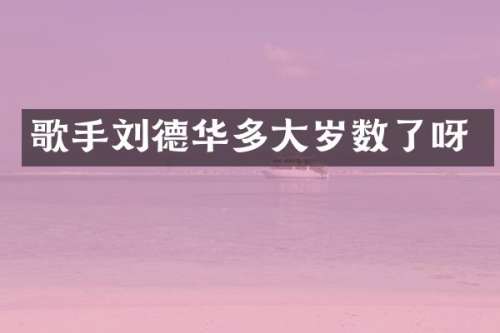 歌手刘德华多大岁数了呀