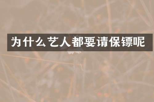为什么艺人都要请保镖呢