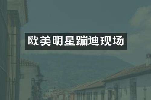 欧美明星蹦迪现场