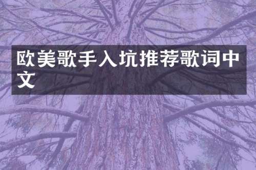 欧美歌手入坑推荐歌词中文