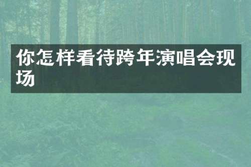 你怎样看待跨年演唱会现场