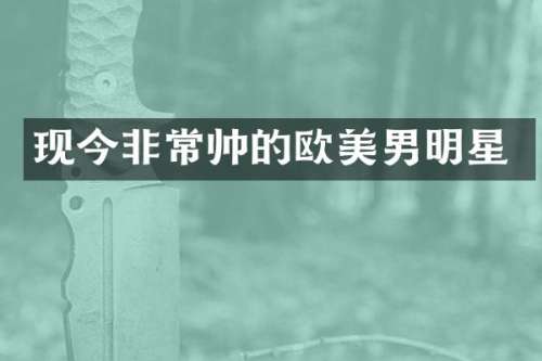 现今非常帅的欧美男明星