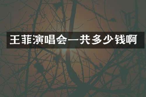 王菲演唱会一共多少钱啊
