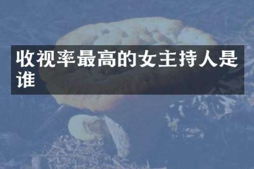 收视率最高的女主持人是谁