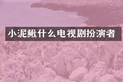 小泥鳅什么电视剧扮演者