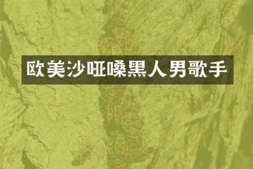 欧美沙哑嗓黑人男歌手