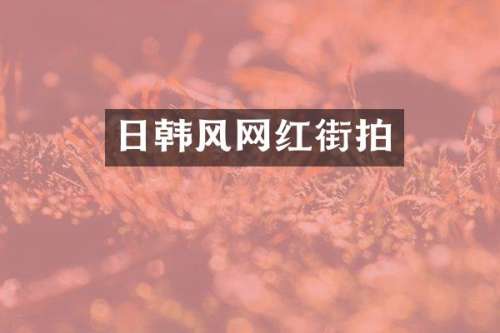 日韩风网红街拍