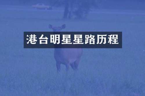 港台明星星路历程