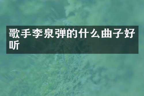 歌手李泉弹的什么曲子好听