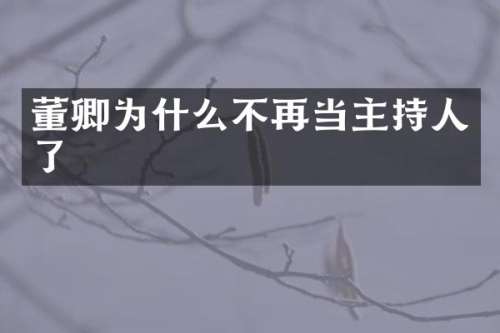 董卿为什么不再当主持人了