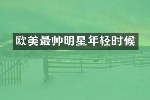 欧美最帅明星年轻时候