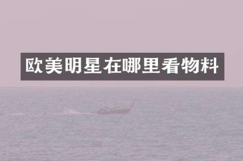 欧美明星在哪里看物料