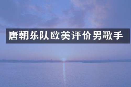 唐朝乐队欧美评价男歌手