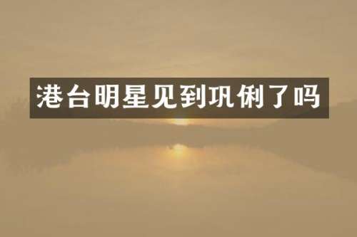 港台明星见到巩俐了吗
