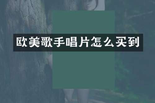 欧美歌手唱片怎么买到