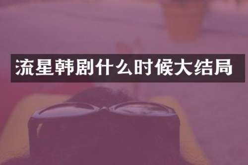 流星韩剧什么时候大结局