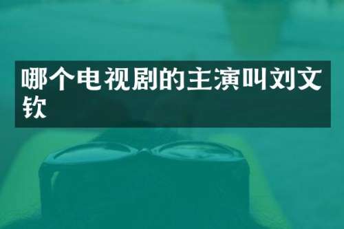 哪个电视剧的主演叫刘文钦