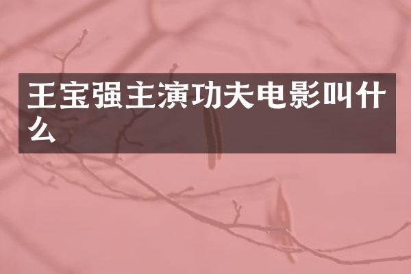 王宝强主演功夫电影叫什么
